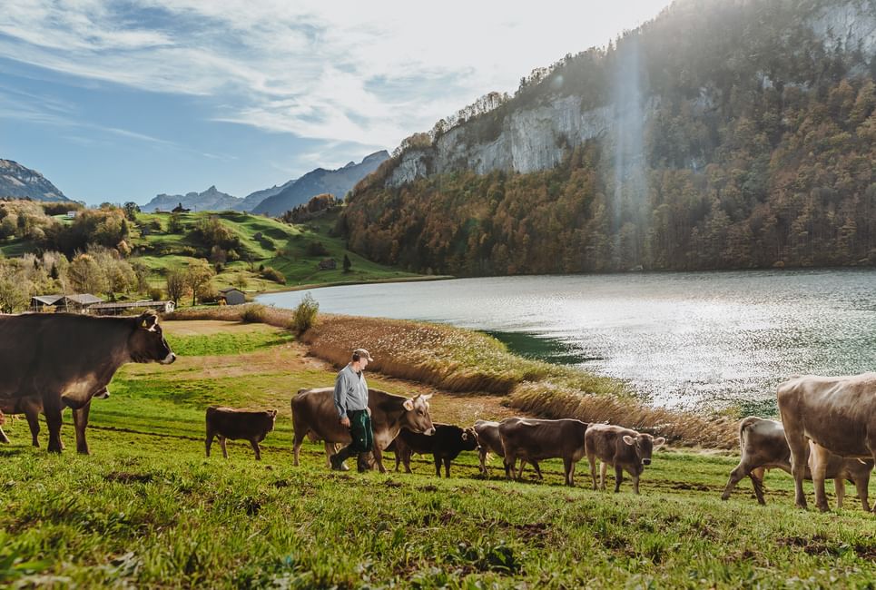 Fotoshooting imagebilder