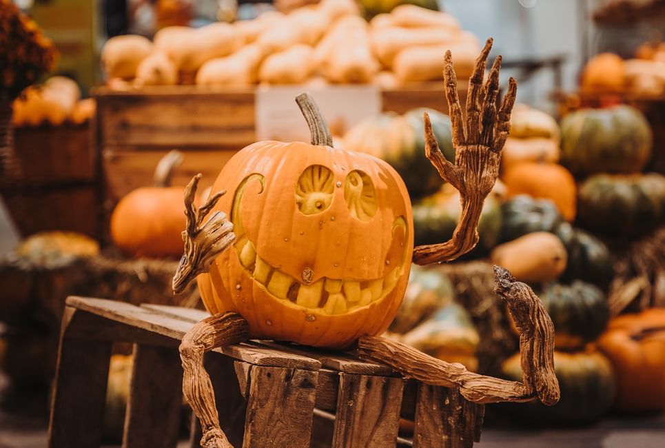 Imagebilder fotograf