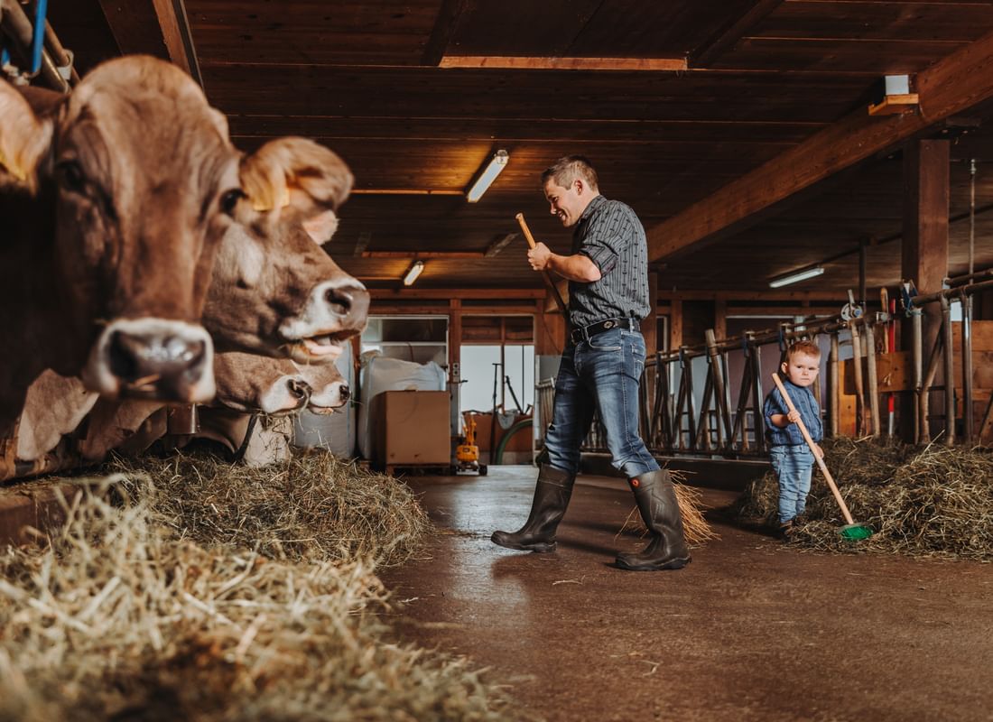 Imagebilder webseite