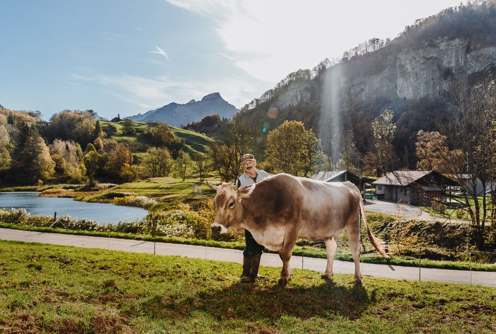 Unternehmensfotografie luzern