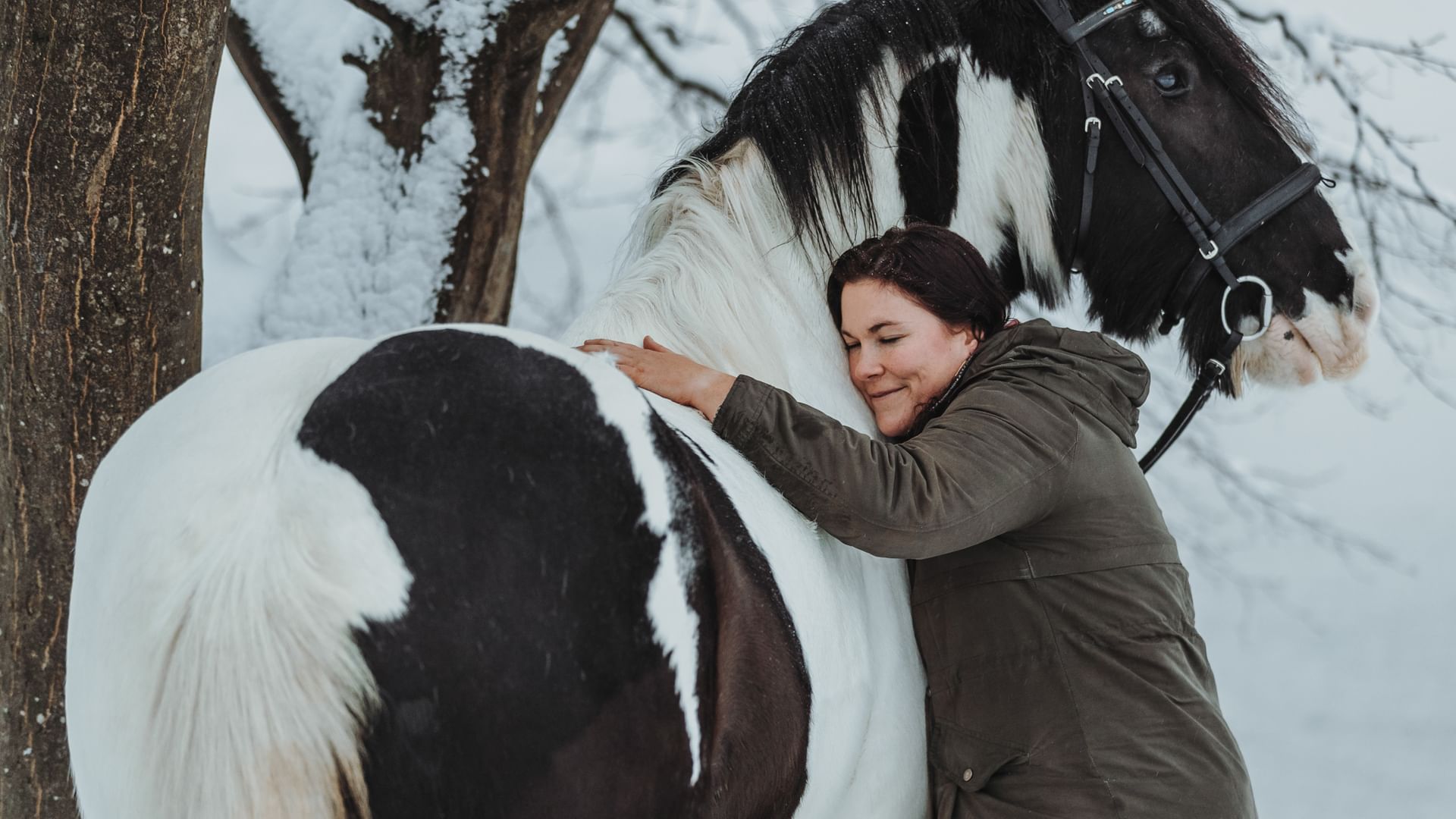 Fotografin pferdeshooting