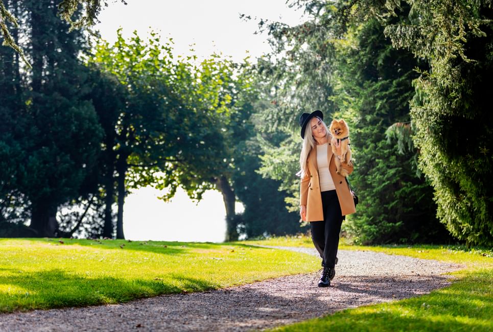 Fotoshooting webseite