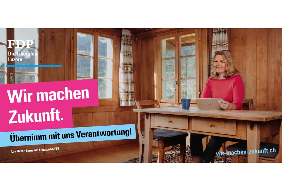 Fdp home office Kopie web